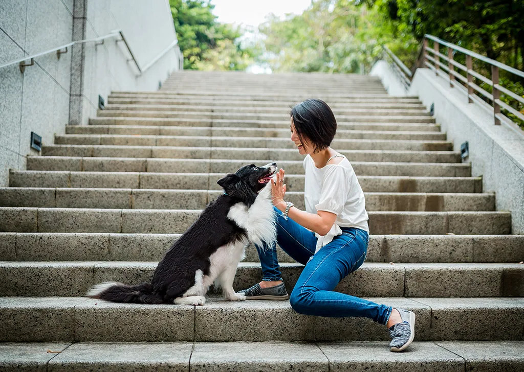 Thú Vị và Độc đáo: Cách Tạo Nên Những Bức Ảnh Kỷ Yếu Động Vật Gây Ấn Tượng